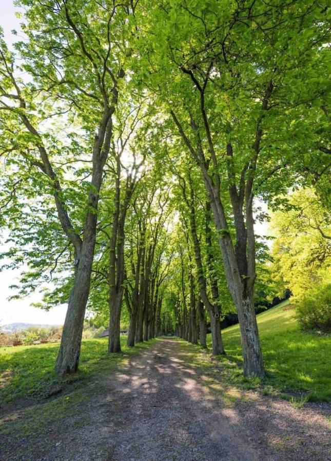 Urlaub In Schlossnaehe Artstetten المظهر الخارجي الصورة